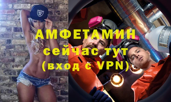 индика Богородицк