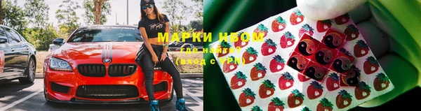 индика Богородицк