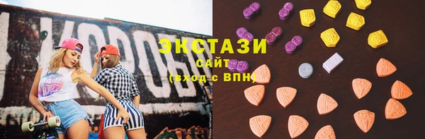 индика Богородицк
