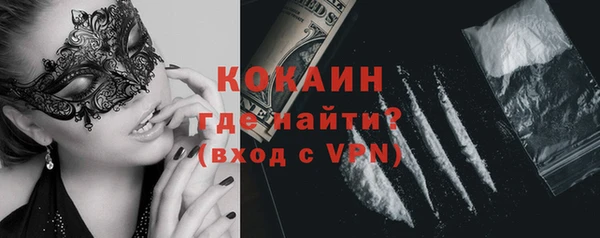 гашик Богородск