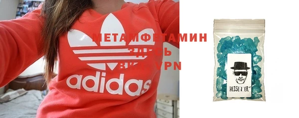 индика Богородицк