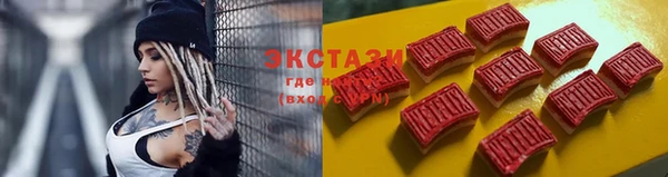 твердый Богданович