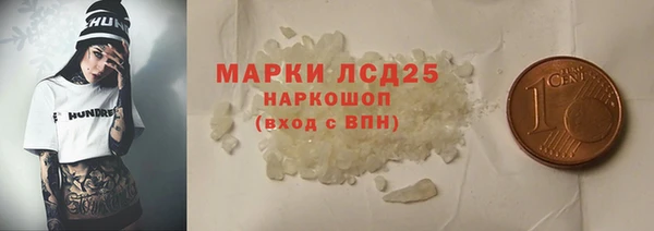 индика Богородицк