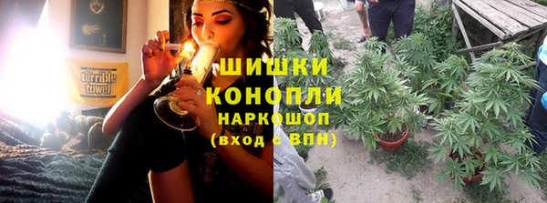 твердый Богданович