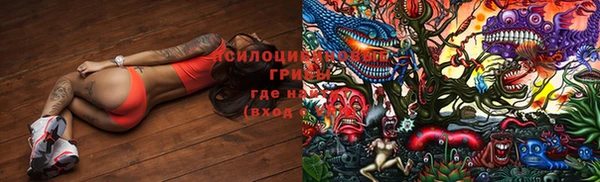 индика Богородицк