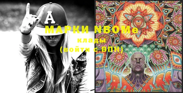 индика Богородицк