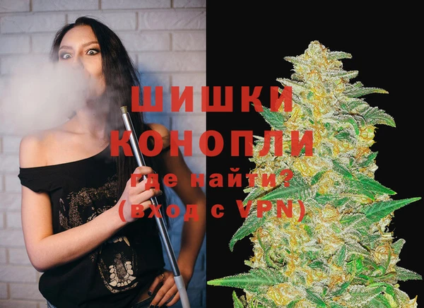 твердый Богданович