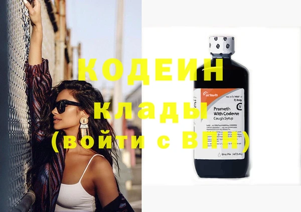 твердый Богданович