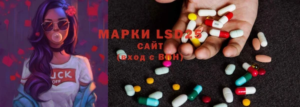 индика Богородицк