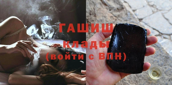индика Богородицк