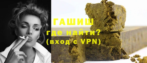 индика Богородицк